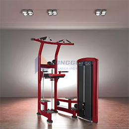 Mesin Dip & Pull-Up Bantuan