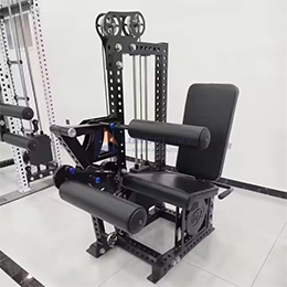 Factory supply the best quality double function commercial leg extension /curl machine gym equipment