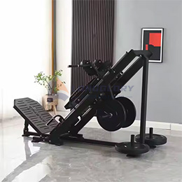 Hack Squat and Leg Press Machine