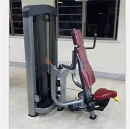 Mesin Gym Terbang Pectoral